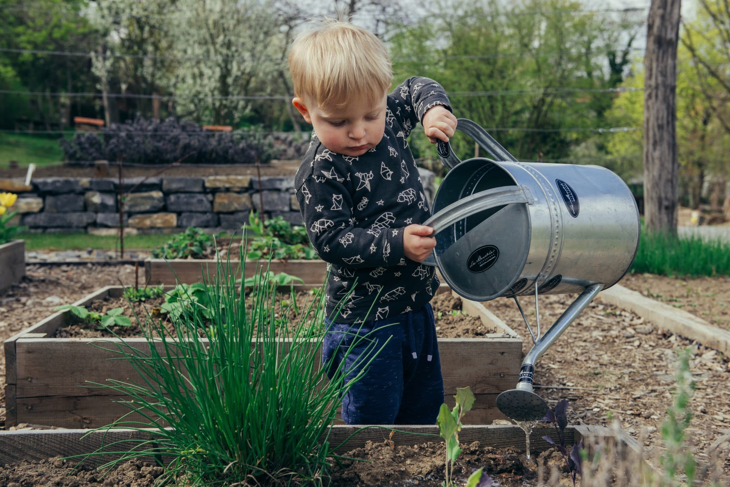 little boy gardening