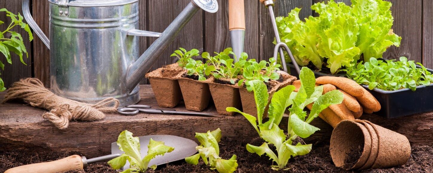 SylvaGrow® helps secure the future for heritage seeds